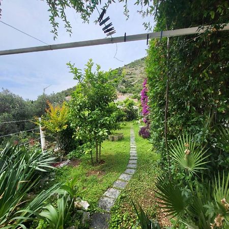 Greengarden Dubrovnik Buitenkant foto