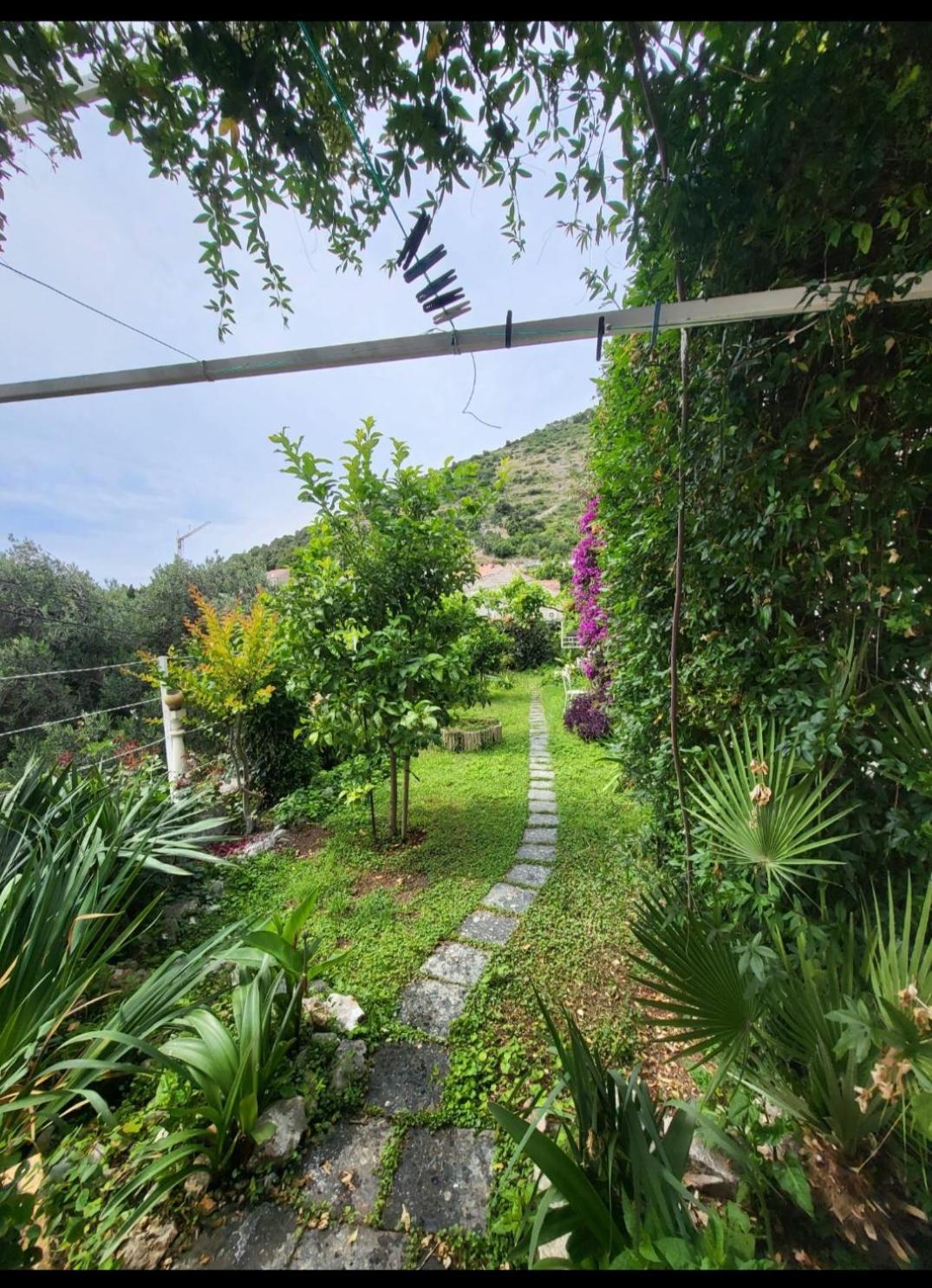 Greengarden Dubrovnik Buitenkant foto